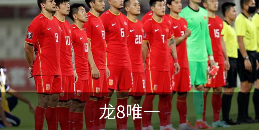 龙8唯一介绍